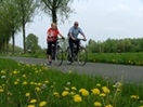 point-velo-waregem