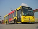 Bus TEC