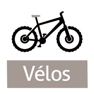 Vélos verts