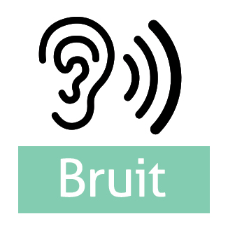 Bruit